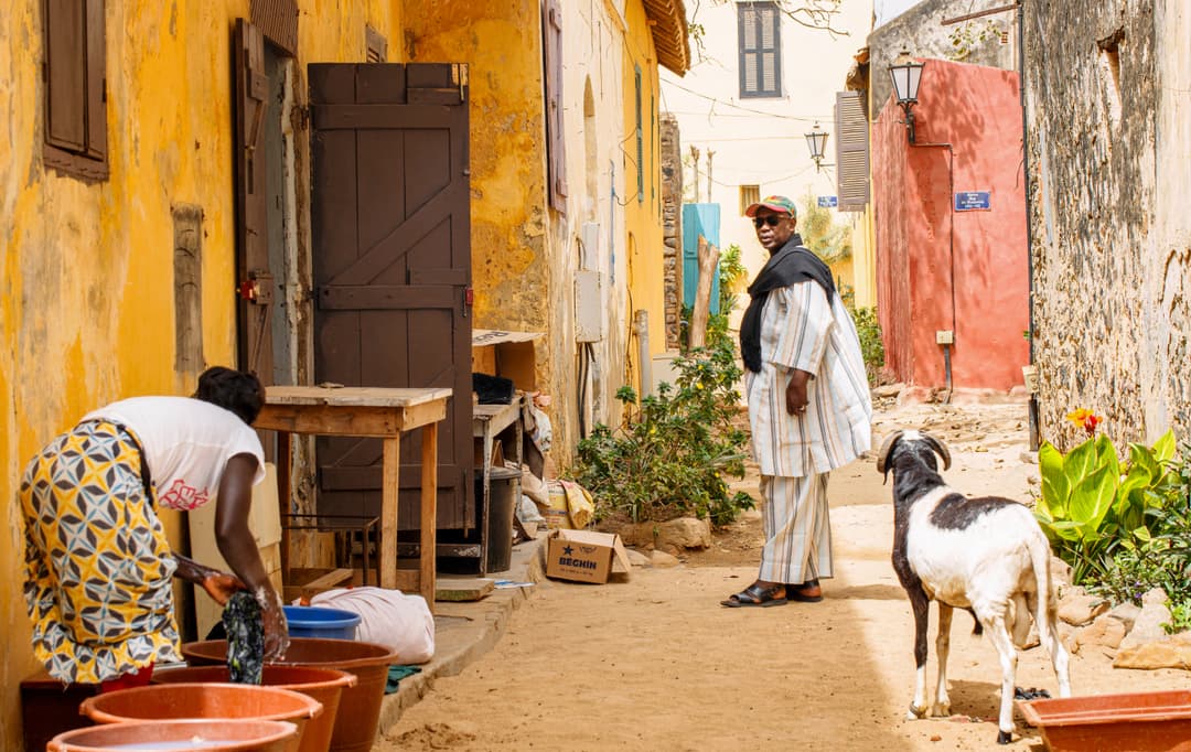 image of section destination with title full day of Goree and Dakar city tour - senegal premuim tour (agency tourism in Senegal)