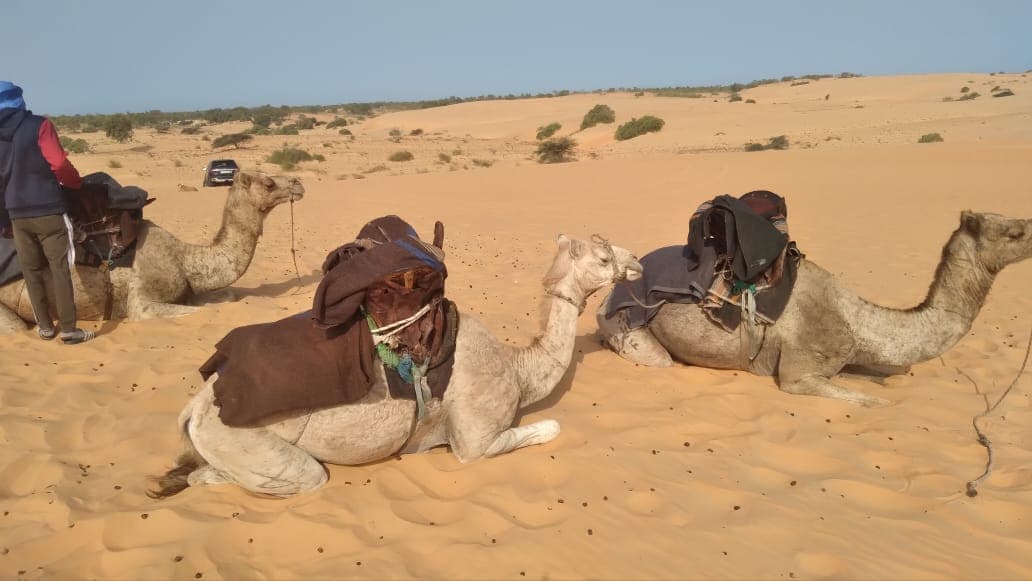 picture  of destination with title  Visit the Desert of lompoul  for site senegal premuim  tour (tourism in Senegal)