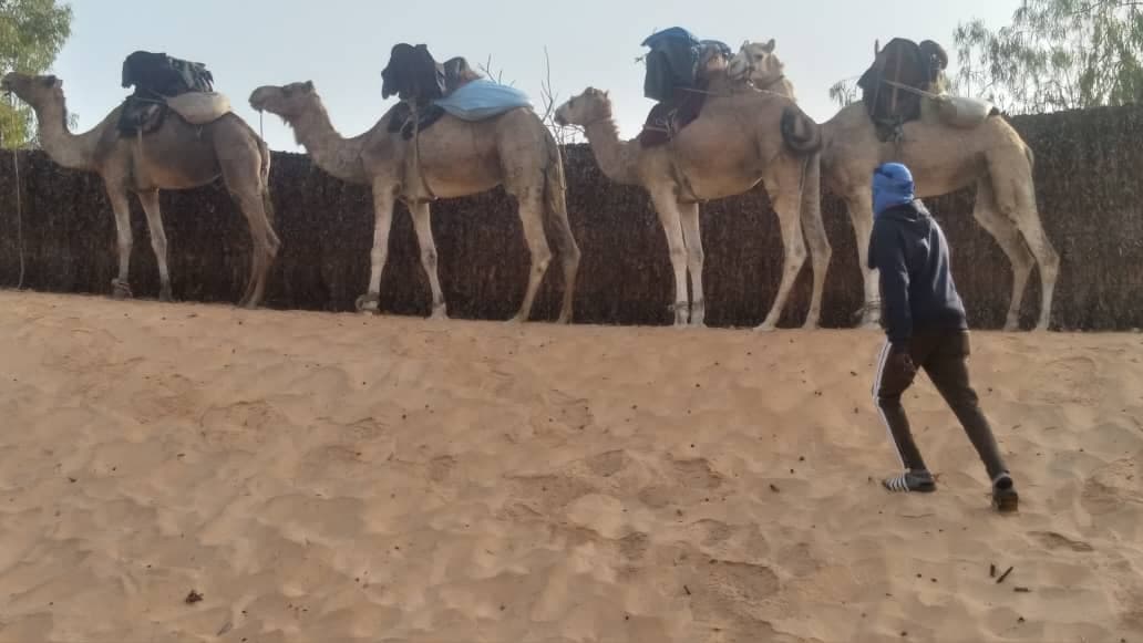 image of section destination with title Visit the Desert of lompoul  - senegal premuim tour (agency tourism in Senegal)